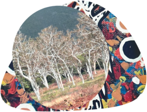 banner-landmanagement-02