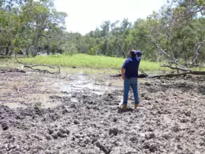 land-management-gallery-10