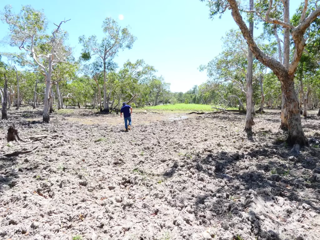 land-management-gallery-12
