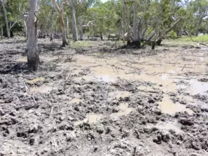 land-management-gallery-14