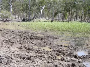 land-management-gallery-9
