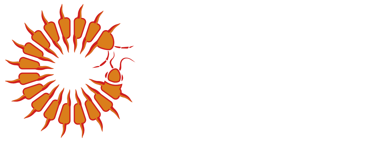 Binthi Land Holding Group Aboriginal Corporation logo