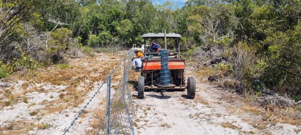 Muwanta Fencing Project Stage 2 (2)