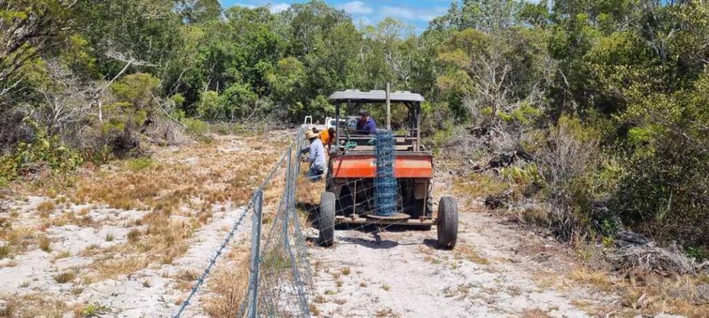 Muwanta Fencing Project Stage 2 (3)