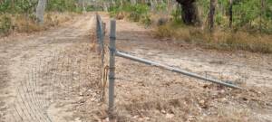 Muwanta Fencing Project Stage 2 (8)